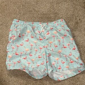 Flamingo swim trunks